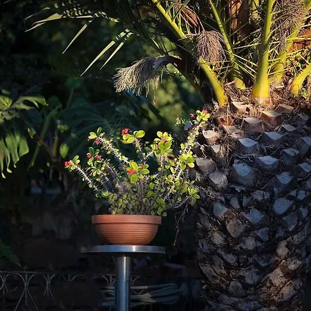 Fonte Da Telha Rum i privatbostad