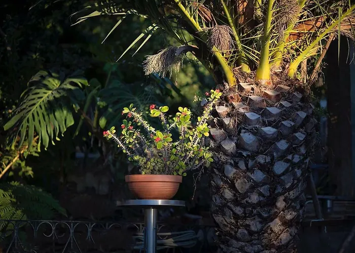 Fonte Da Telha Проживание в семье